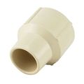 The Mosack Group Apollo Pipe Adapter, 3/4 in, Solvent Weld x FNPT, CPVC, White, SCH 40 Schedule, 400 psi Pressure CPVCFA34W